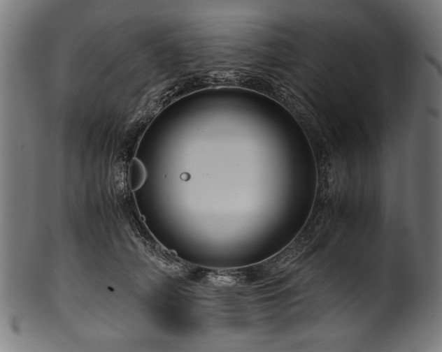 X0000100950706200806241503