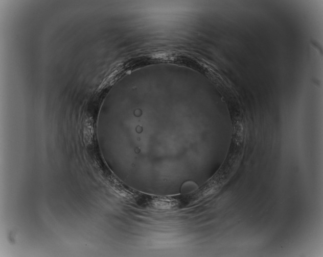 X0000100950707200806241503
