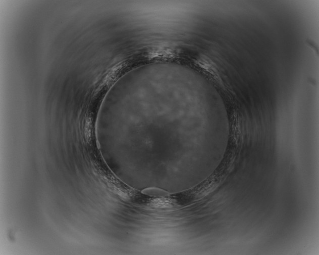 X0000100950708200806241503