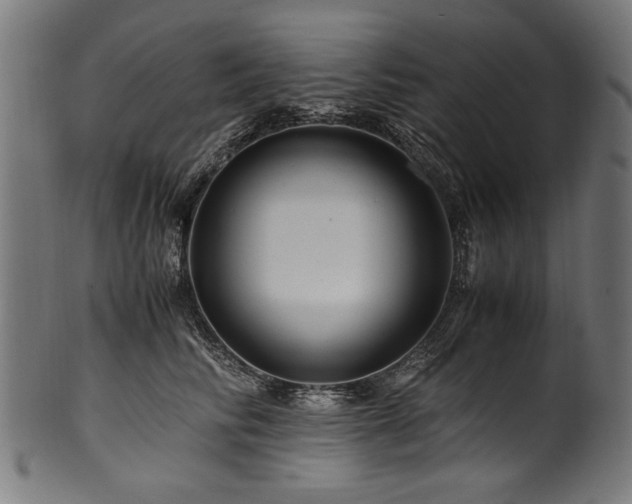 X0000100950710200806241503
