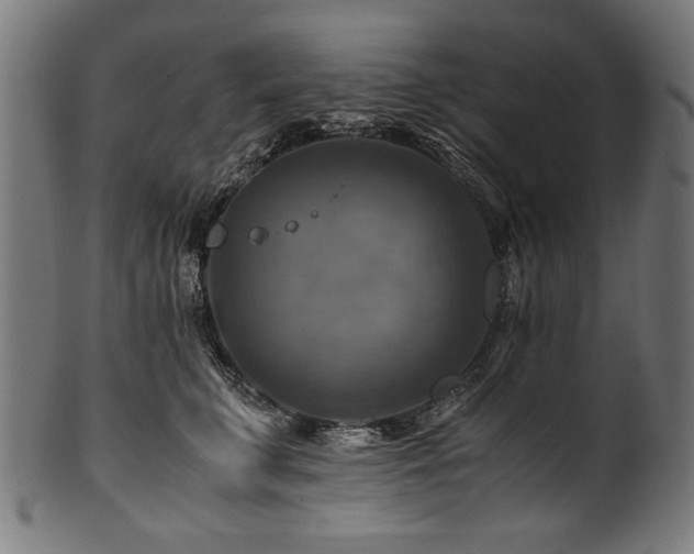 X0000100950711200806241503