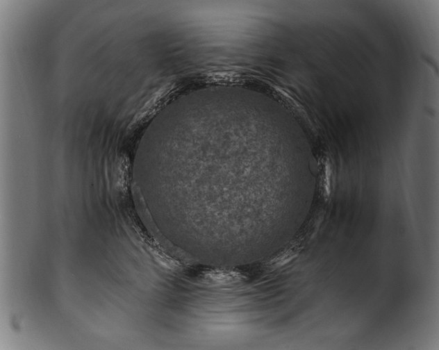 X0000100950712200806241503