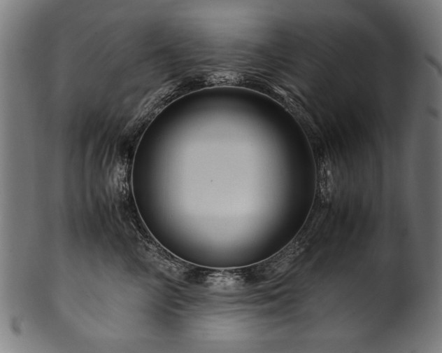 X0000100950714200806241503
