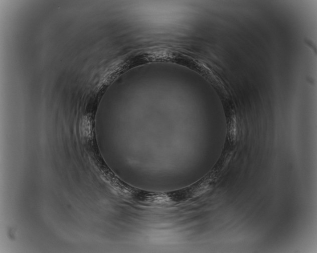 X0000100950715200806241503