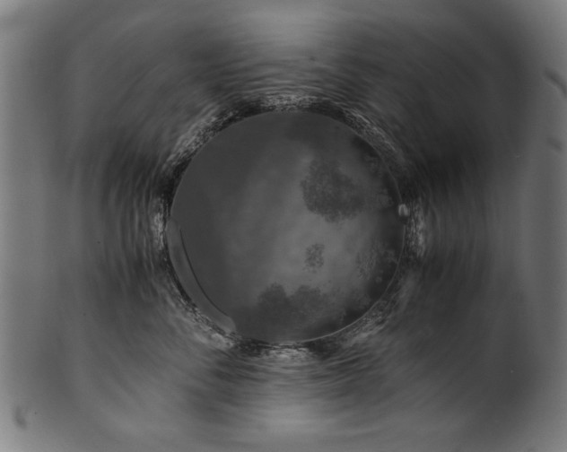 X0000100950716200806241503