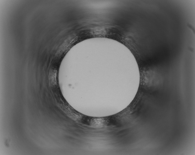 X0000100950717200806241503