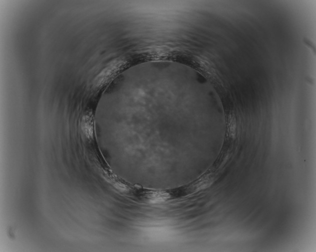 X0000100950719200806241503