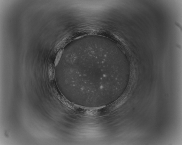 X0000100950720200806241503