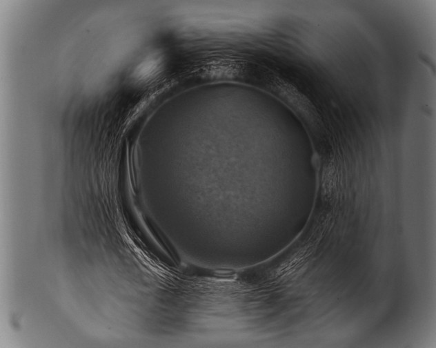 X0000100950722200806241502