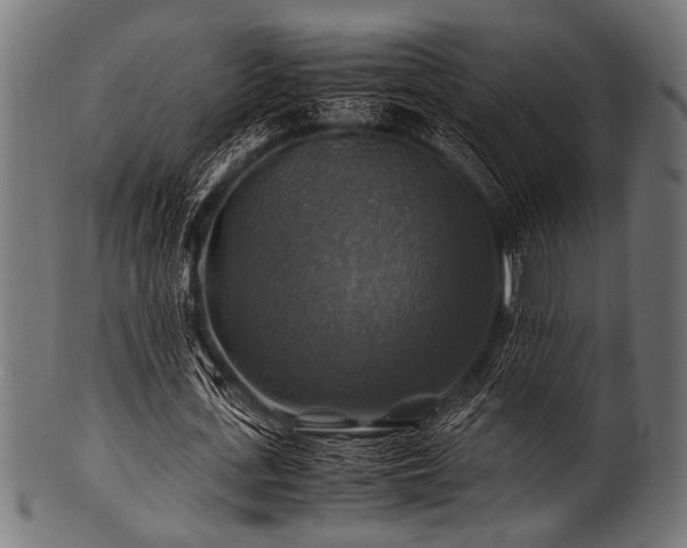 X0000100950723200806241502