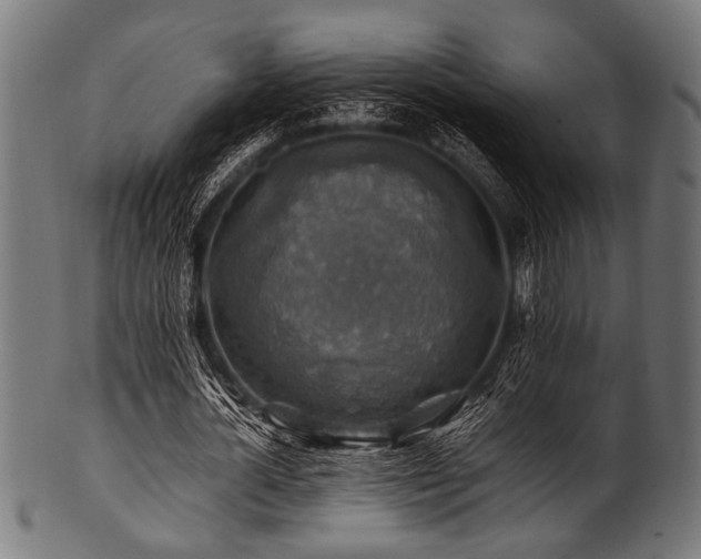X0000100950724200806241502