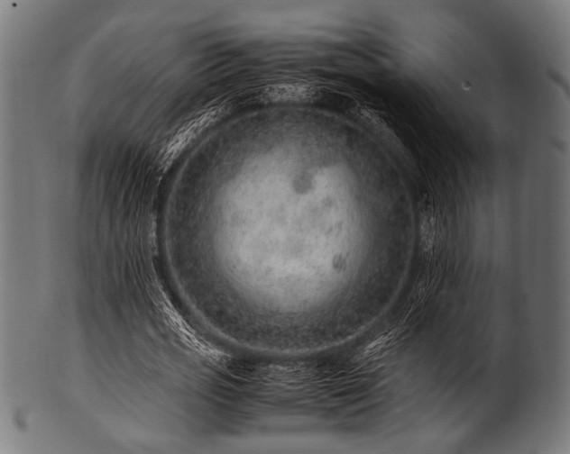 X0000100950725200806241502