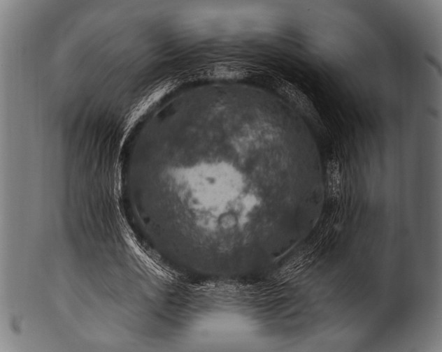 X0000100950726200806241502