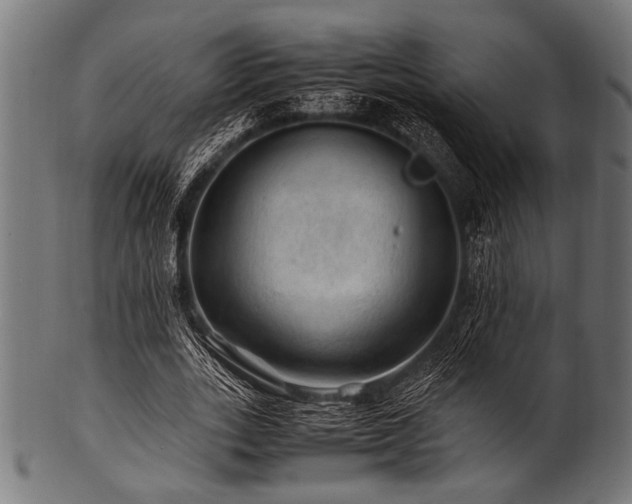 X0000100950727200806241502