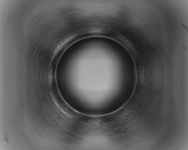 X0000100950728200806241502