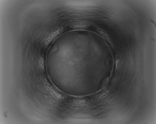 X0000100950729200806241503