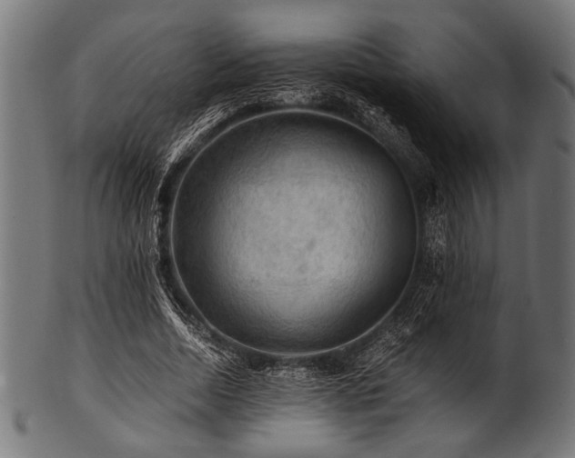 X0000100950730200806241503