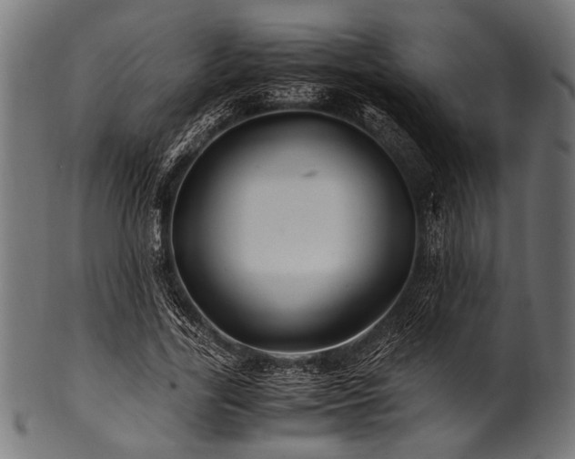 X0000100950731200806241503