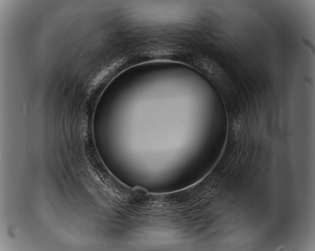 X0000100950732200806241503
