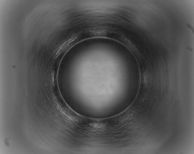 X0000100950733200806241503