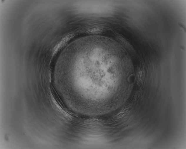 X0000100950734200806241503