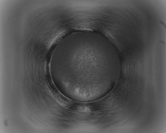 X0000100950735200806241503