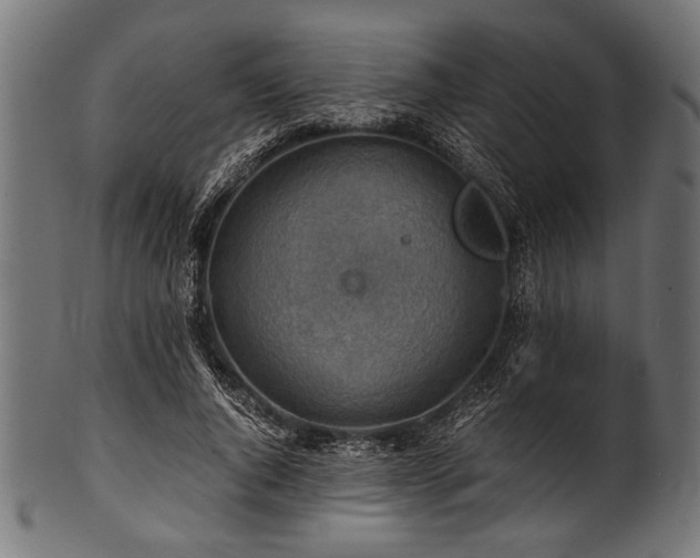 X0000100950736200806241503