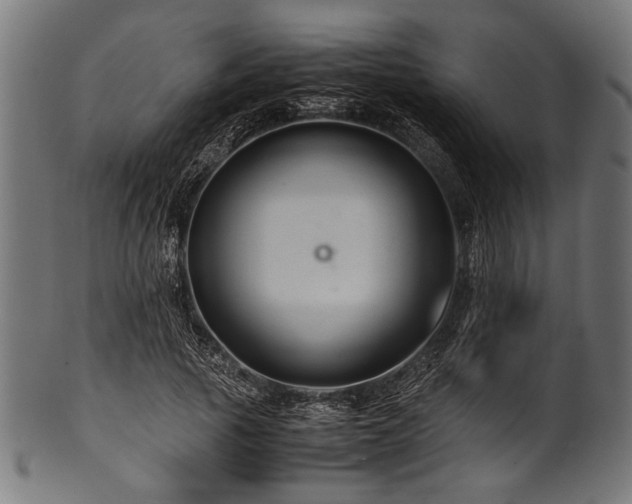 X0000100950737200806241503