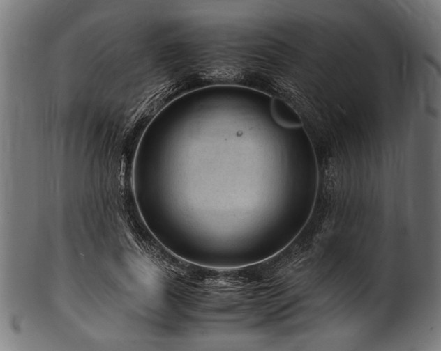 X0000100950739200806241503