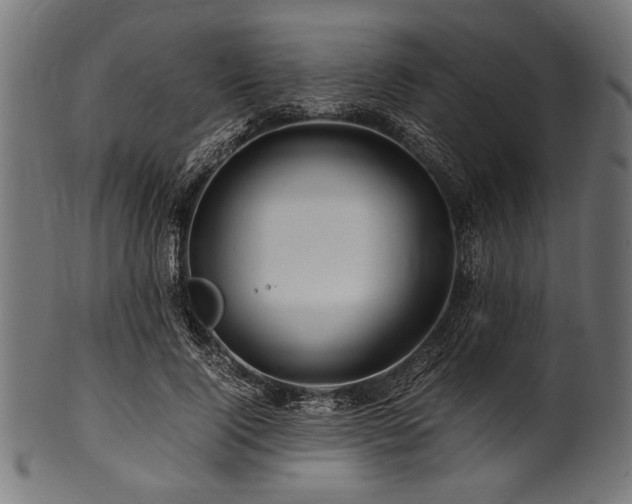 X0000100950740200806241503