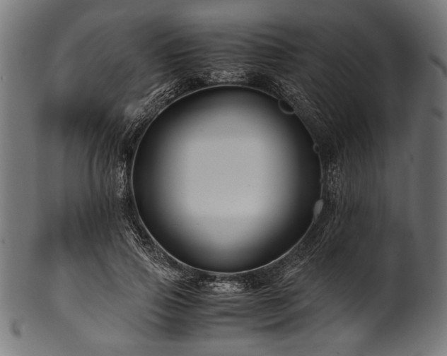 X0000100950741200806241503