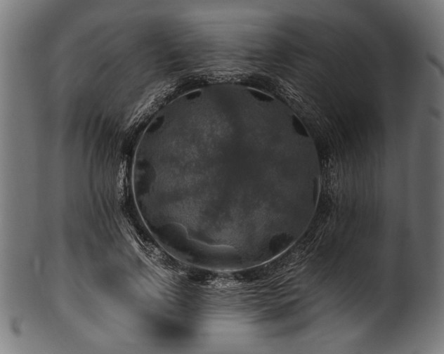 X0000100950742200806241503