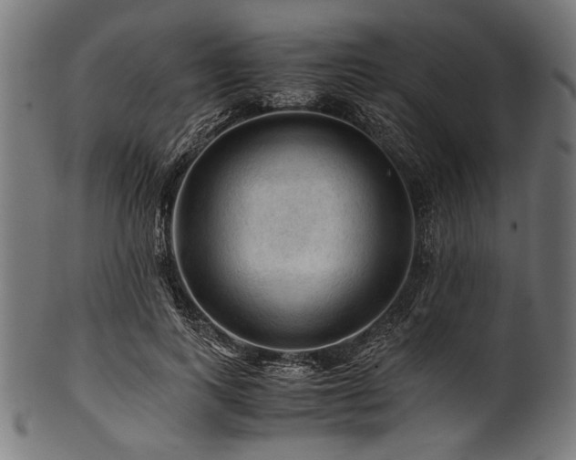 X0000100950743200806241503