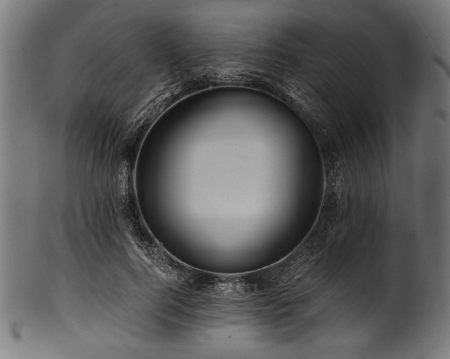 X0000100950744200806241503