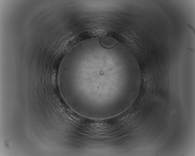 X0000100950745200806241503