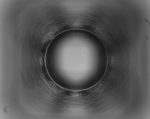 X0000100950746200806241503