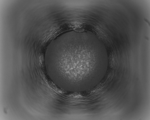 X0000100950747200806241503