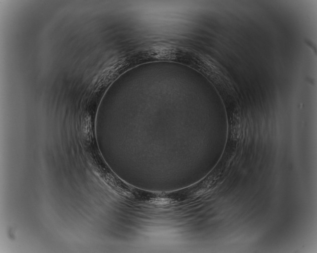 X0000100950748200806241503
