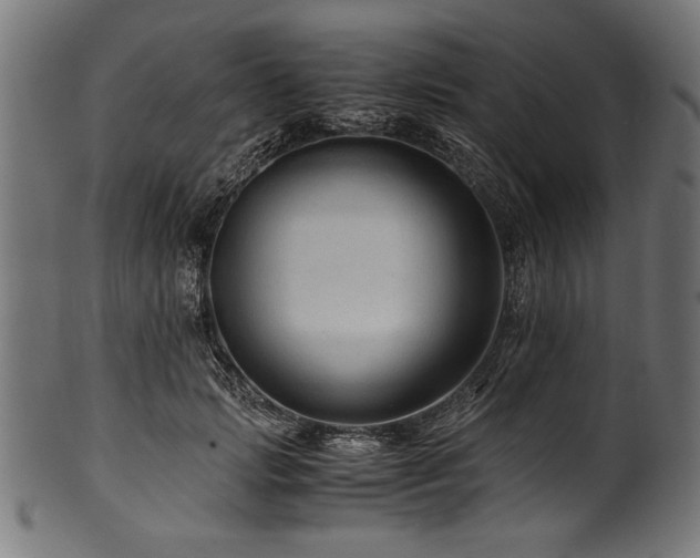 X0000100950749200806241503