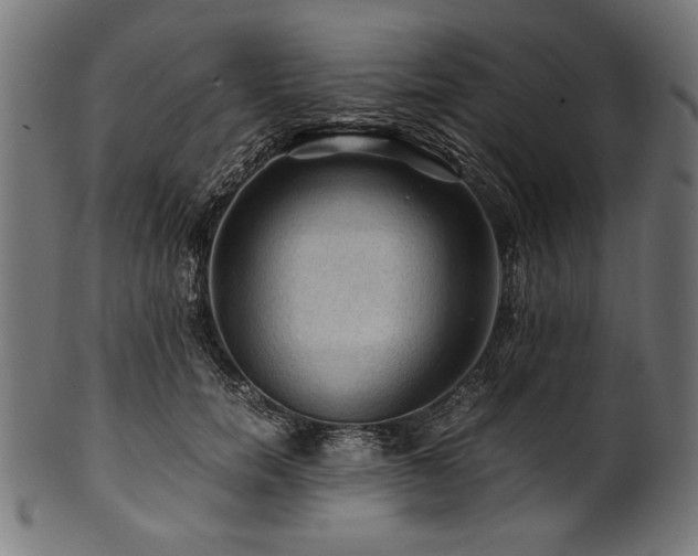 X0000100950750200806241503