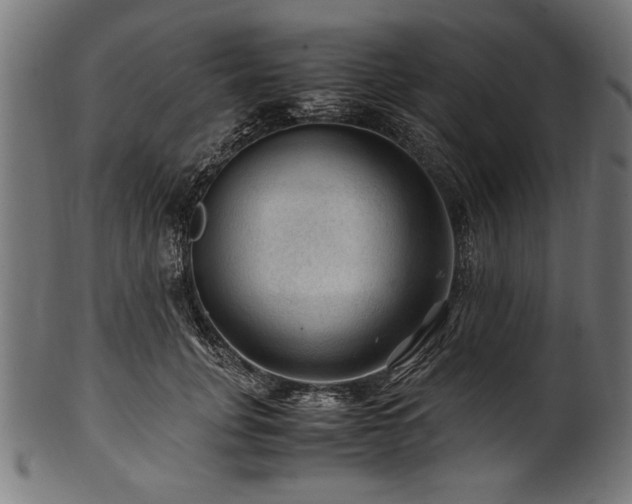 X0000100950751200806241503