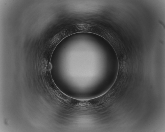 X0000100950752200806241503