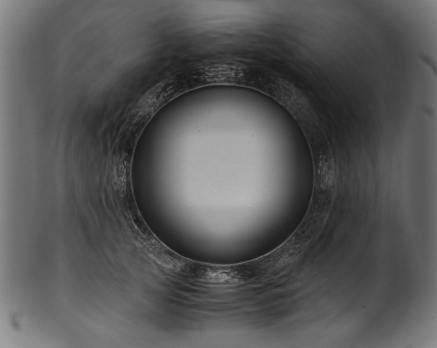 X0000100950753200806241503