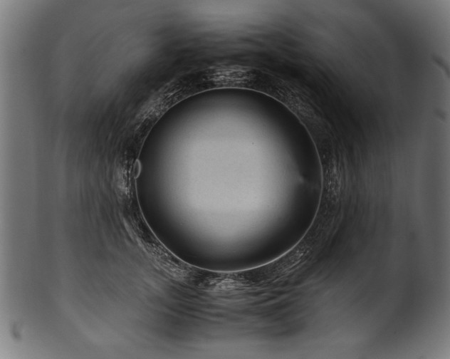 X0000100950755200806241503
