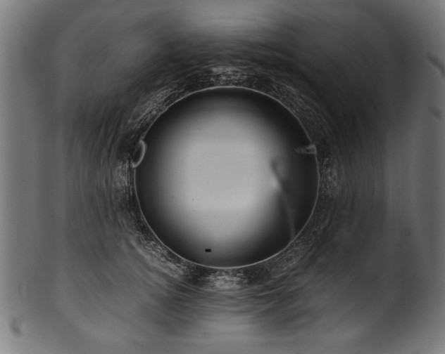X0000100950756200806241503
