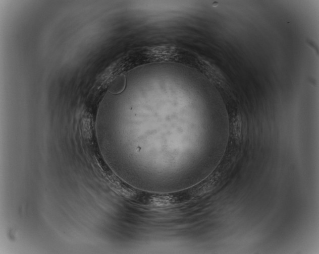 X0000100950757200806241503