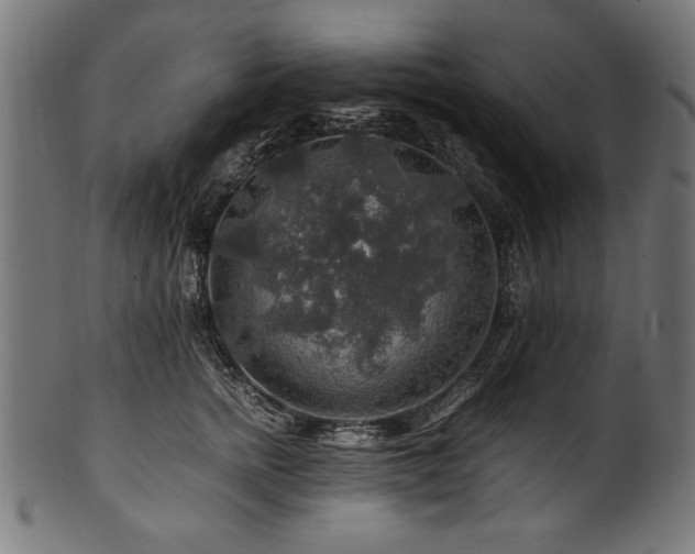 X0000100950758200806241503