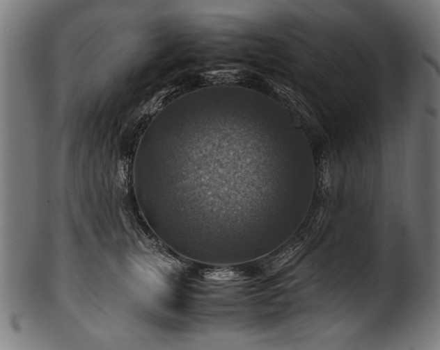 X0000100950759200806241503