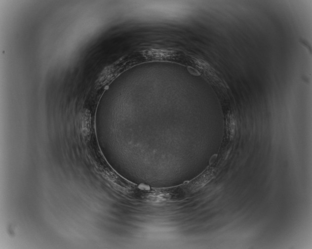 X0000100950760200806241503