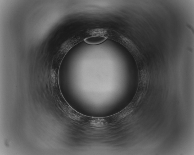 X0000100950761200806241503